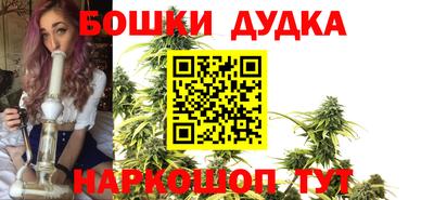 крисы Кимры