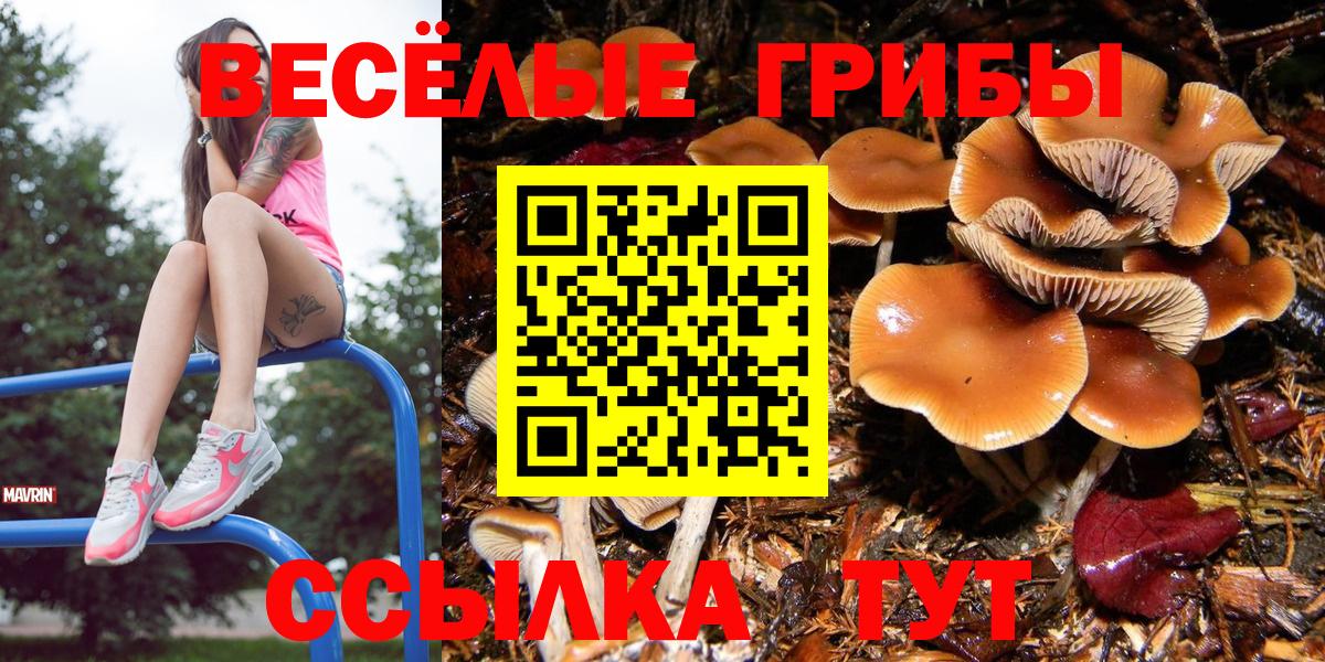 Псилоцибиновые грибы ЛСД  Галлюциногенные грибы мицелий  Вход с VPN  Феодосия 